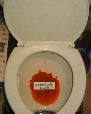 унитаз с икрой.jpg