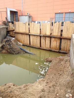 фотография 5.jpg