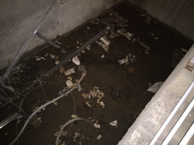 Снимок экрана 2016-11-25 в 18.39.15.png