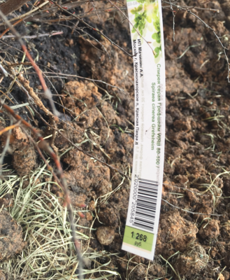 Снимок экрана 2017-04-21 в 16.40.48.png