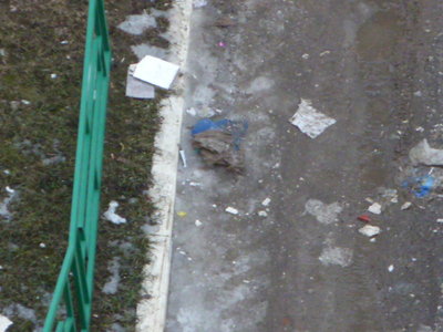 03.03.2015г 009.JPG