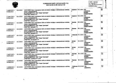 30072015Одинцовский суд3.jpg